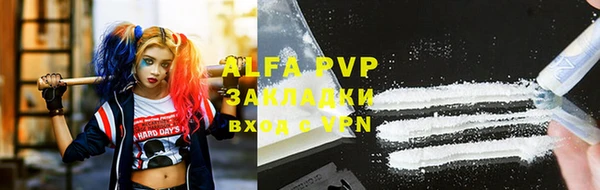 ПСИЛОЦИБИНОВЫЕ ГРИБЫ Покров