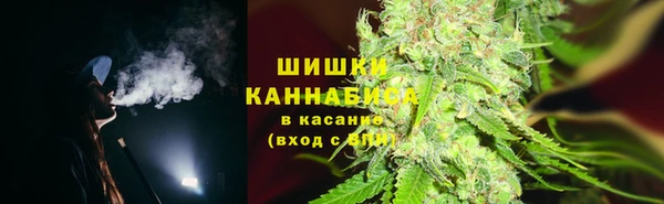 мдпв Пролетарск