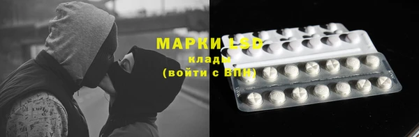 ПСИЛОЦИБИНОВЫЕ ГРИБЫ Покров