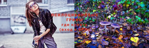 ПСИЛОЦИБИНОВЫЕ ГРИБЫ Покров