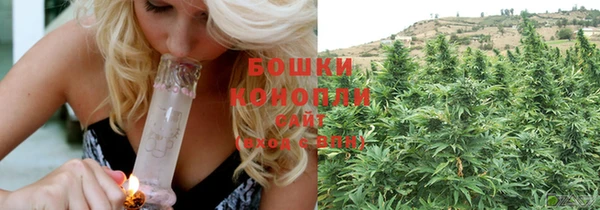 эйфоретик Покачи