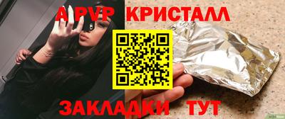 крисы Гатчина