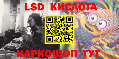 крисы Гатчина