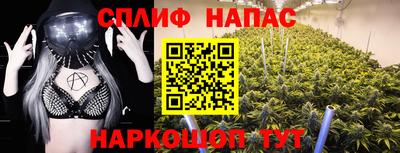 крисы Гатчина