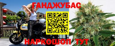 крисы Гатчина