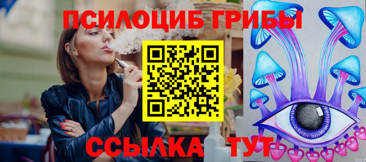 Азнакаево  Псилоцибиновые грибы MAGIC MUSHROOMS  Вход с VPN  Псилоцибиновые грибы Psilocybine cubensis 