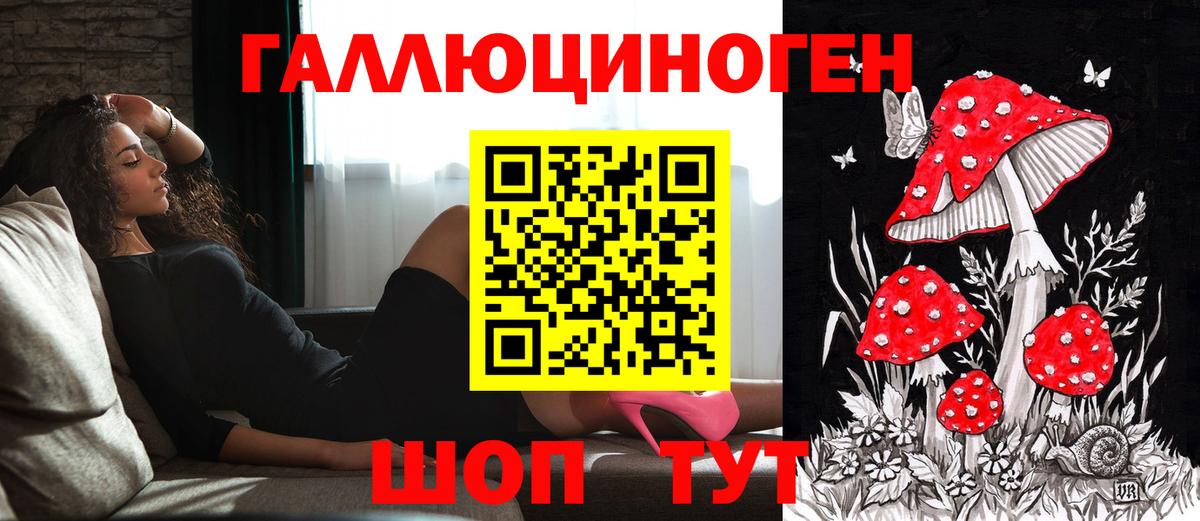 Псилоцибиновые грибы Psilocybine cubensis  Вход с VPN  Азнакаево 