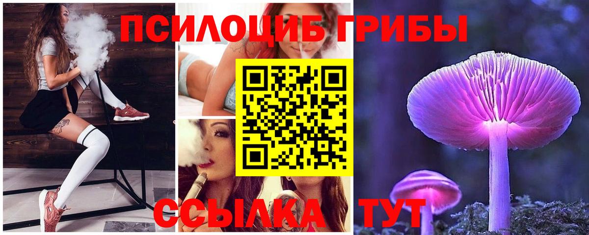 Псилоцибиновые грибы Cubensis Азнакаево