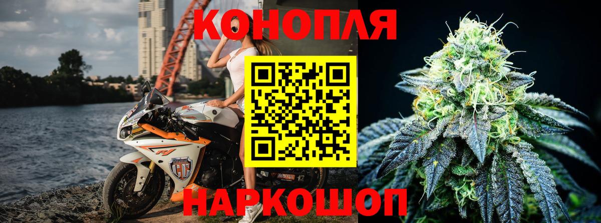 Шишки марихуана план  Конопля план  Азнакаево  Конопля сатива  Вход с VPN 